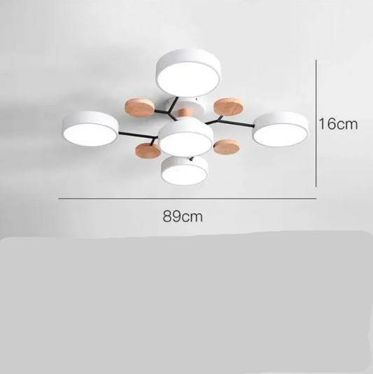Modern Ceiling Lamp for Contemporary Home Interiors
