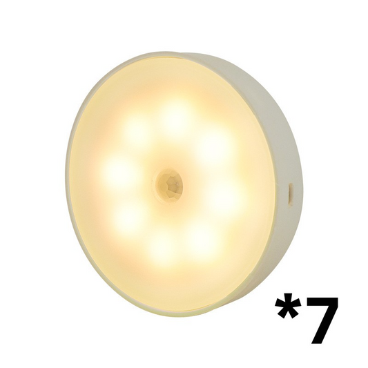 USB Rechargeable Motion Sensor LED Light