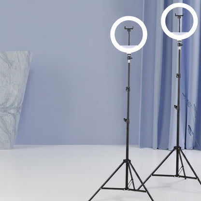 (Live Streaming Ring Light Kit – Professional LED Fill Light for Photography &amp; Content Creation26cm)