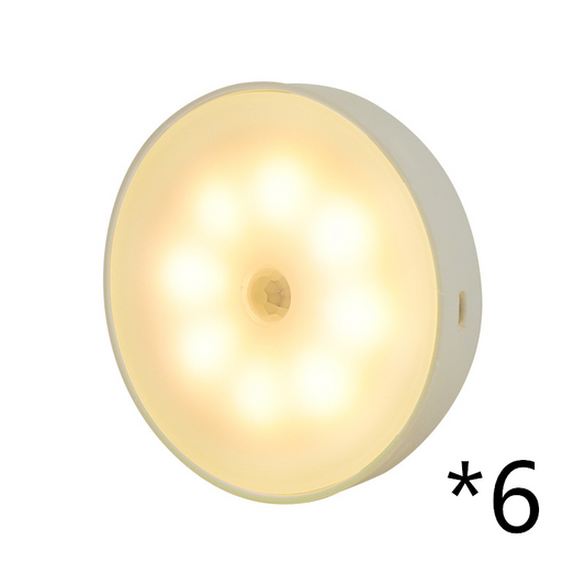USB Rechargeable Motion Sensor LED Light